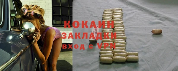 шишки Алзамай
