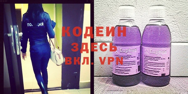 шишки Алзамай