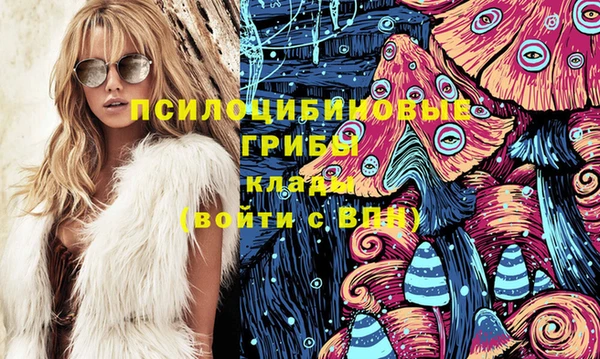 шишки Алзамай