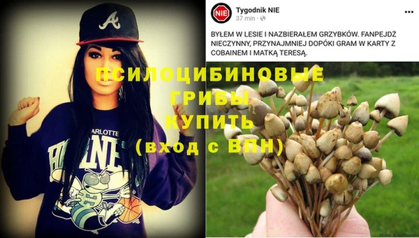 Альфа ПВП Алексин
