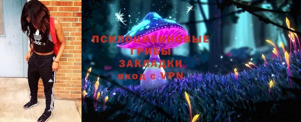 хмурый Алексеевка
